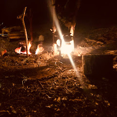 くまさんの外メシ🧸アイコン画像