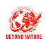 -X59U0L977Q-channel-avatar-Beyond Nature