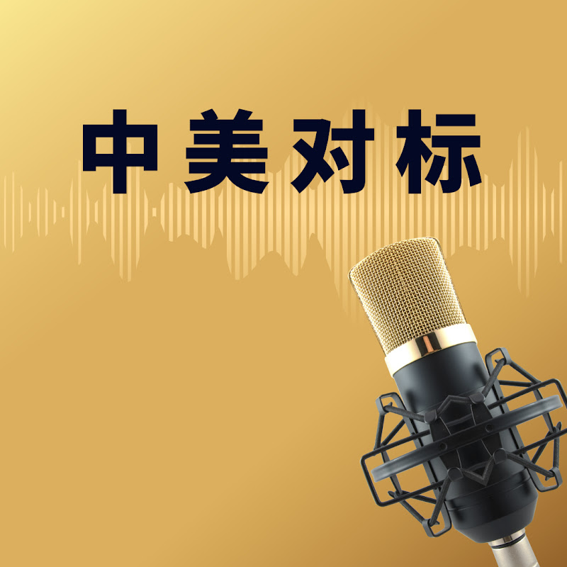 中美对标 Logo