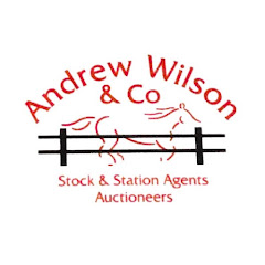 Andrew Wilson & Co - ONLINE AUCTIONS