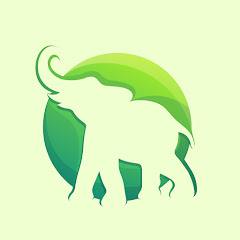 Elewalk avatar