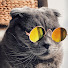 tZwwmi9Pf8Y-channel-avatar-Rowt