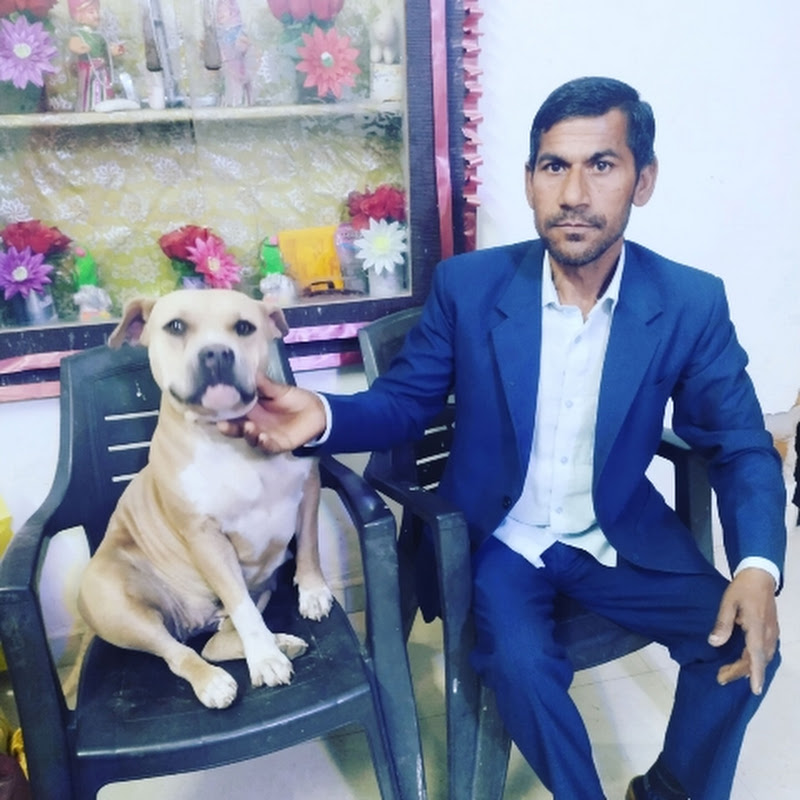 Rajender Kumar Saini