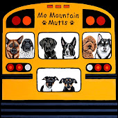 Mo Mountain Mutts