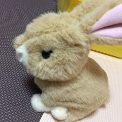 Fマル
