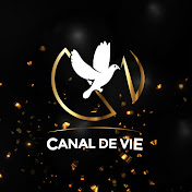 CANAL DE VIE TELEVISION