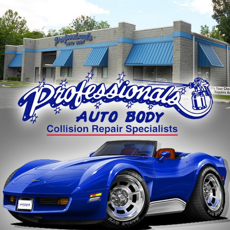 Professionals Auto Body
