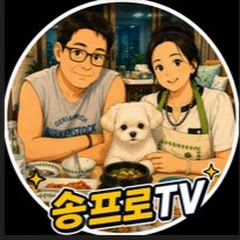 송프로TV