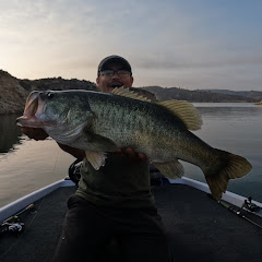 The Jr Angler
