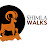 Shimla Walks - Travel and Other Stories