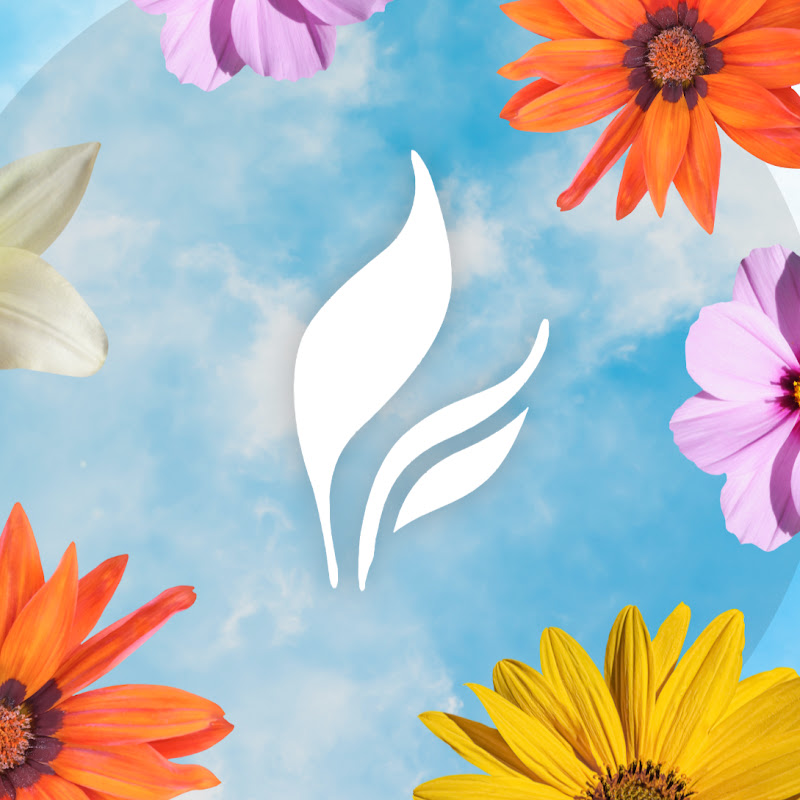 Full Leaf Tea Company