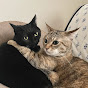 ねこにひき