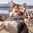 TT7lQJZV6A0-channel-avatar-Studio Cat Jazz