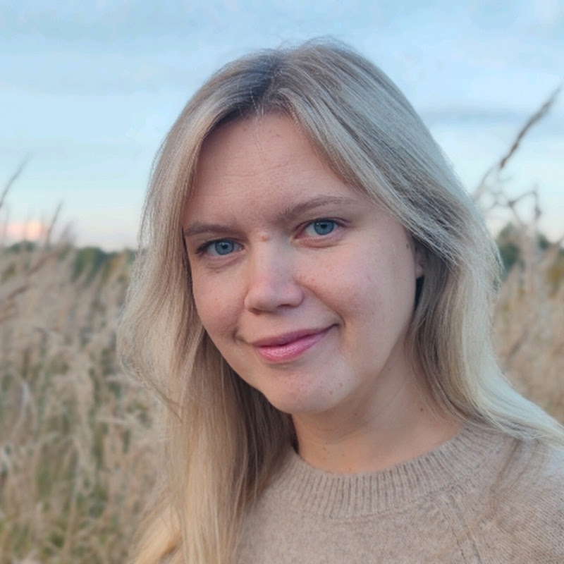 Історія одного Хрестика