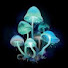 t987DkSG6wI-channel-avatar--Atalanta-