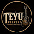 e4mH9_PZIG0-channel-avatar-Teyu Country 