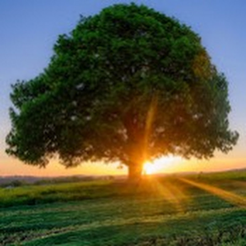 СЧАСТЬЕ - ТВОЯ МУДРОСТЬ. Аудиокниги. Logo