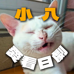 小八愛看日劇アイコン画像