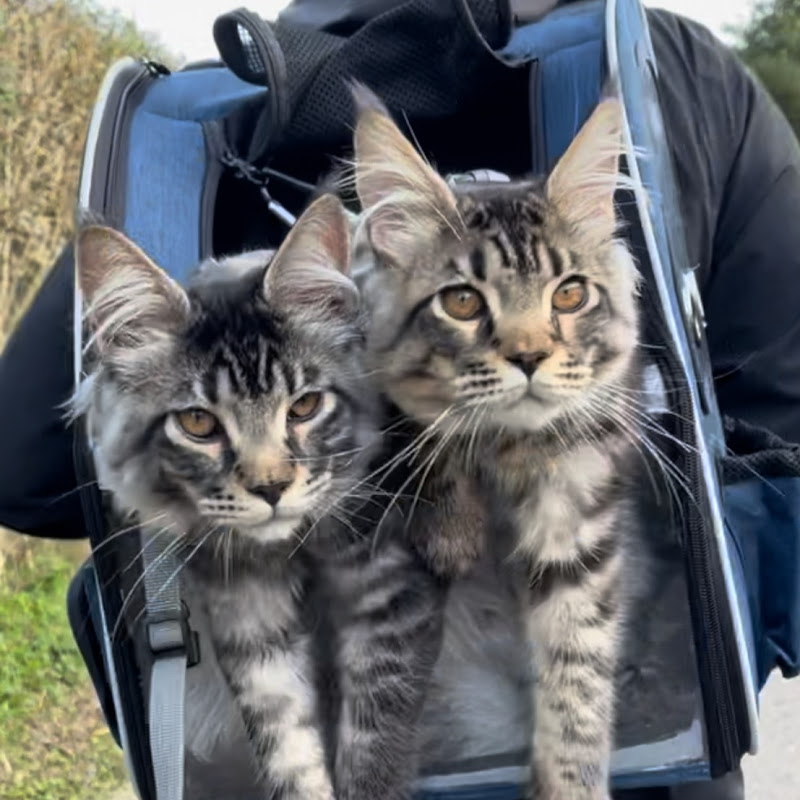 Adventures of Jimmy & Beaks