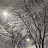 @선풍기-z6b