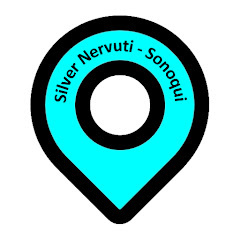 Silver Nervuti net worth