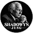 JRzgo99Tzj0-channel-avatar-Shadowyn Jung