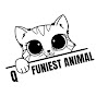 Q - Funiest Animal logo