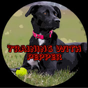 Training With Pepper