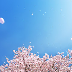 きなこ（黄粉）の里