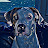 Avatar photo