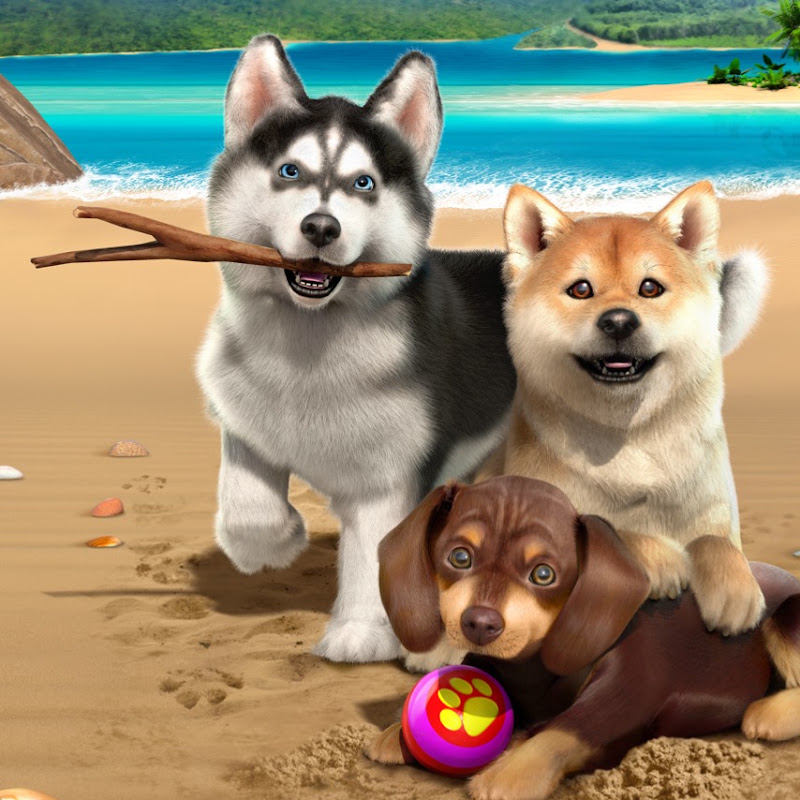 BarkBuddies