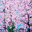 @스윗커피-d7f