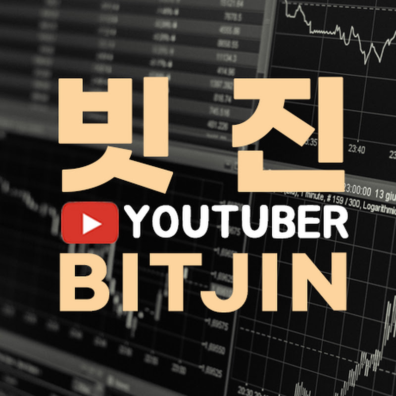 빗진BITJIN