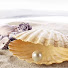 CXG_cKab8eI-channel-avatar-Pearl Boy