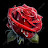 الصورة الرمزية لـ @فوزيهالحربي-ط2ق