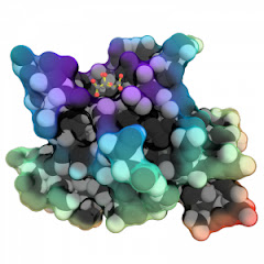 Pymol Biomolecules channel logo