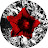 @forgo06's avatar