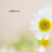 @도토리-w1e