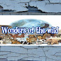 Wonders of the Wild logo