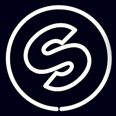 Spinnin' Records Deleted Videos net worth