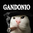 @GANDONIO-X