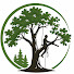 H0_Z4iOobTc-channel-avatar-Arbor Pro