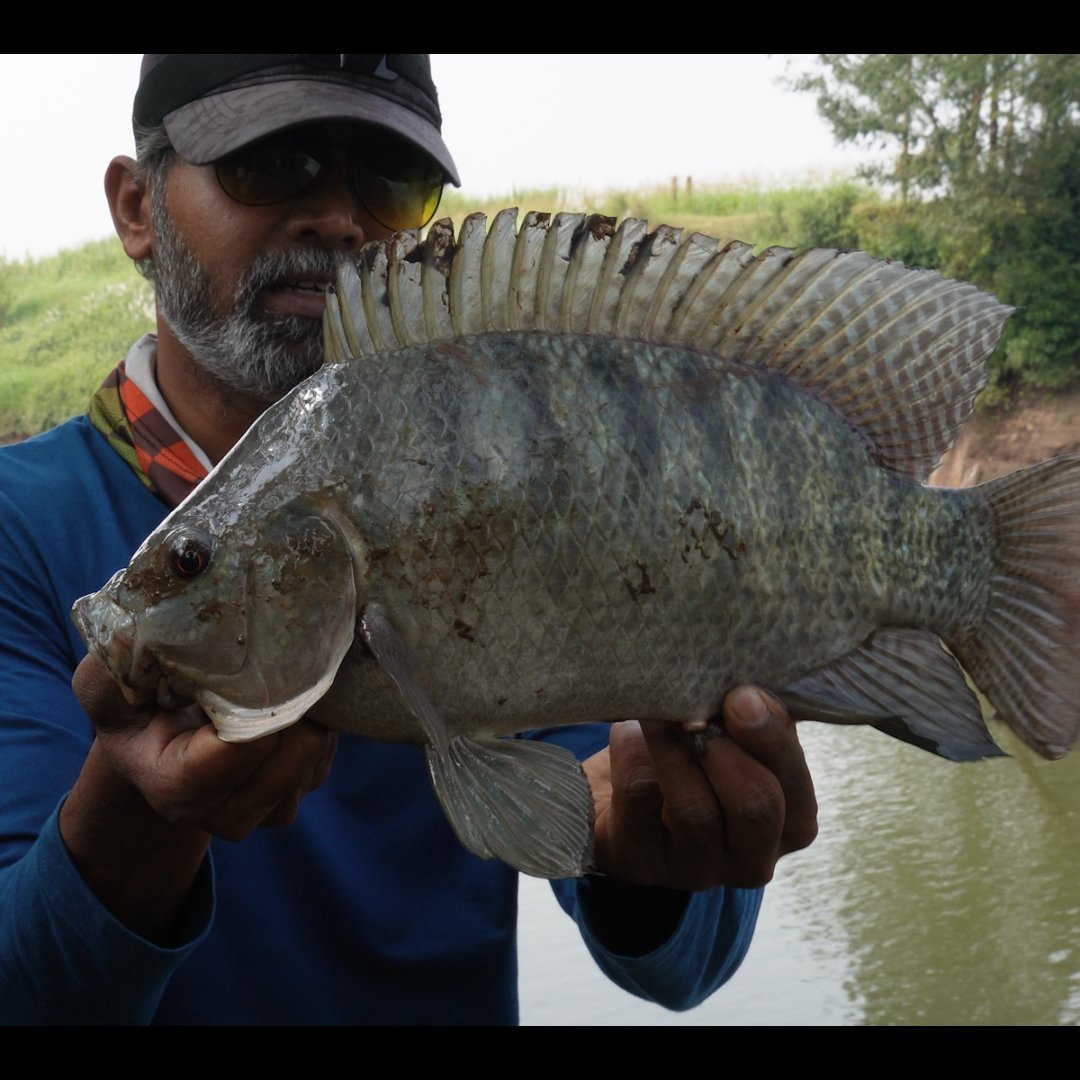 Post from Crazy about fishing & cooking