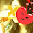 @연지-x2q