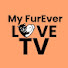 8wmyBqLNg8Q-channel-avatar-My FurEver Love | Irene | Ezyshop