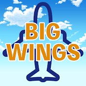 BIG WINGS