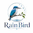 4-5-zLJ9X-4-channel-avatar- RainBird