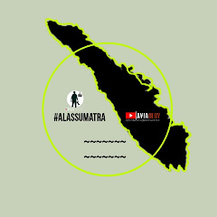 avia dedy