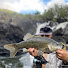 vv_l5SoPvDQ-channel-avatar-Zadzzy fishing