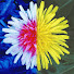 kuMlnbWKDnE-channel-avatar-The Biosemiotics Podcast